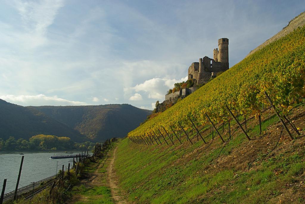 Residence Bellevue Boppard Extérieur photo